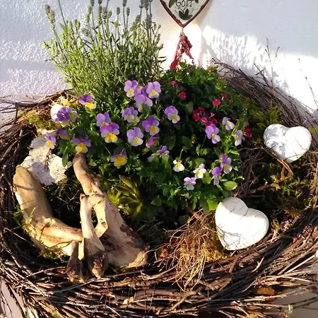 Daire Just - Inkl. Chiemgau-karte *