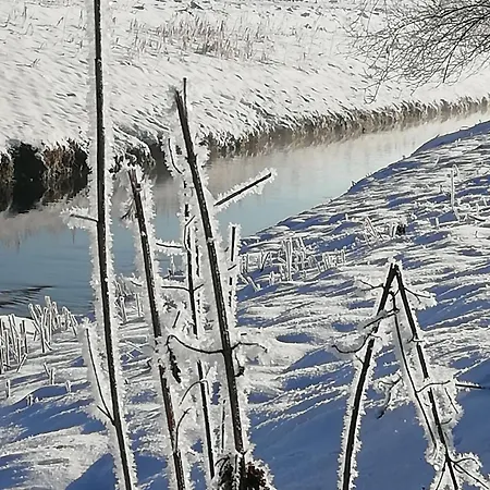 Just - Inkl. Chiemgau-karte Daire Bergen (Traunstein)